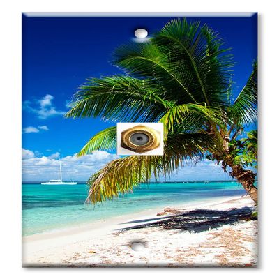 Art Plates - Decorative Printed 1 Port Coax Cable Wall Plate, 3GHz Coaxial Cable Connector, F-Type RG6 - RG59 Cable Extender Male to Male, Gold-Plated - Beach and Palm