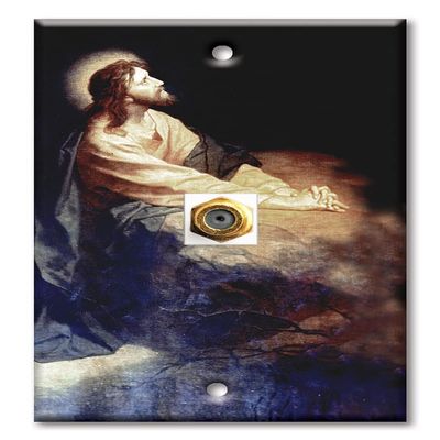 Art Plates - Decorative Printed 1 Port Coax Cable Wall Plate, 3GHz Coaxial Cable Connector, F-Type RG6 - RG59 Cable Extender Male to Male, Gold-Plated - Garden Of Gethsemane