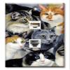 Art Plates - Decorative Printed 2 Port Data Wall Plate - RJ11 Telephone Jack Connector and RJ45 (Cat5, Cat6, Cat7) Ethernet Connector - Gold-Plated Contacts - Just Cats view 1