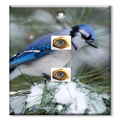 Art Plates - Decorative Printed 2 Port Coax Cable Wall Plate, 3GHz Coaxial Cable Connector, F-Type RG6 - RG59 Cable Extender Male to Male, Gold-Plated - Blue Bird