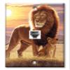 Art Plates - One Port RJ11 - Telephone decorative printed keystone style wall plate. CAT3 - RJ12 Female to Female phone jack. Works for phones, fax, ect. - Lion and Cub view 1