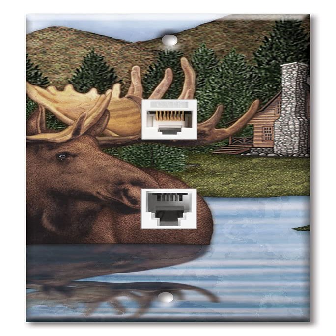 Art Plates - Decorative Printed 2 Port Data Wall Plate - RJ11 Telephone Jack Connector and RJ45 (Cat5, Cat6, Cat7) Ethernet Connector - Gold-Plated Contacts - Moose Pond