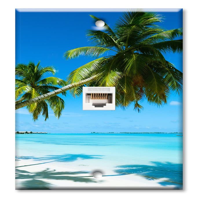 Art Plates - One Port RJ45 Ethernet decorative printed keystone style wall plate. Works with Cat5 through Cat8 cables. Female to Female Connection. - Two Palm Trees on Beach