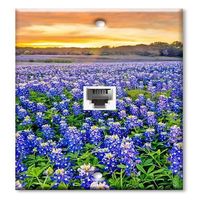 Art Plates - One Port RJ11 - Telephone decorative printed keystone style wall plate. CAT3 - RJ12 Female to Female phone jack. Works for phones, fax, ect. - Blue Bonnets
