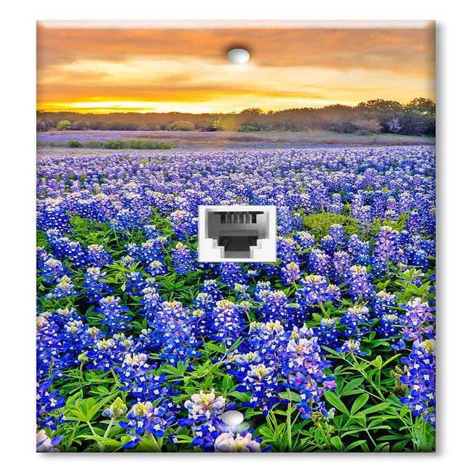 Art Plates - One Port RJ11 - Telephone decorative printed keystone style wall plate. CAT3 - RJ12 Female to Female phone jack. Works for phones, fax, ect. - Blue Bonnets