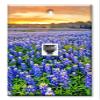Art Plates - One Port RJ11 - Telephone decorative printed keystone style wall plate. CAT3 - RJ12 Female to Female phone jack. Works for phones, fax, ect. - Blue Bonnets view 1