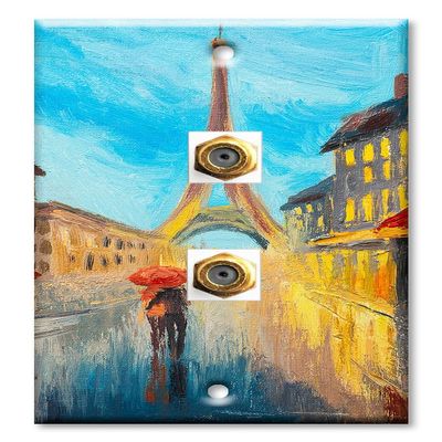 Art Plates - Decorative Printed 2 Port Coax Cable Wall Plate, 3GHz Coaxial Cable Connector, F-Type RG6 - RG59 Cable Extender Male to Male, Gold-Plated - Pairs in the Rain