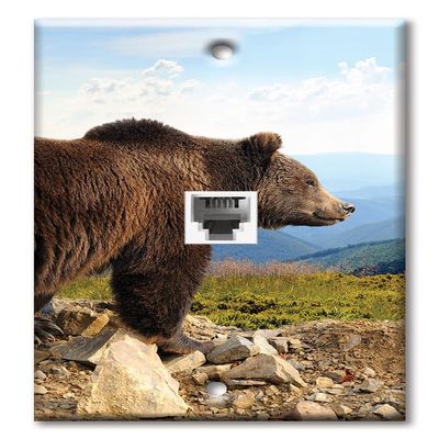 Art Plates - One Port RJ45 Ethernet decorative printed keystone style wall plate. Works with Cat5 through Cat8 cables. Female to Female Connection. - Brown Bear