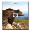 Art Plates - One Port RJ45 Ethernet decorative printed keystone style wall plate. Works with Cat5 through Cat8 cables. Female to Female Connection. - Brown Bear view 1