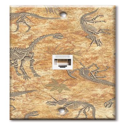Art Plates - One Port RJ45 Ethernet decorative printed keystone style wall plate. Works with Cat5 through Cat8 cables. Female to Female Connection. - Dinosaur Fossils