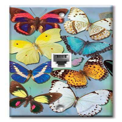 Art Plates - One Port RJ11 - Telephone decorative printed keystone style wall plate. CAT3 - RJ12 Female to Female phone jack. Works for phones, fax, ect. - Butterflies on Blue
