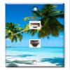 Art Plates - Decorative Printed 2 Port Data Wall Plate - RJ11 Telephone Jack Connector and RJ45 (Cat5, Cat6, Cat7) Ethernet Connector - Gold-Plated Contacts - Two Palm Trees on Beach