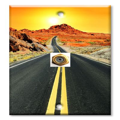 Art Plates - Decorative Printed 1 Port Coax Cable Wall Plate, 3GHz Coaxial Cable Connector, F-Type RG6 - RG59 Cable Extender Male to Male, Gold-Plated - Route 66 Hwy