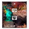 Art Plates - Decorative Printed 2 Port Data Wall Plate - RJ11 Telephone Jack Connector and RJ45 (Cat5, Cat6, Cat7) Ethernet Connector - Gold-Plated Contacts - Statue of Liberty Metropolitan view 1