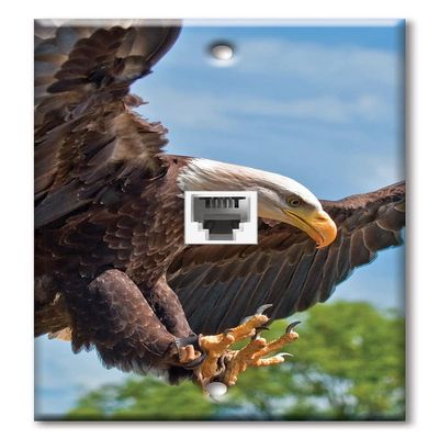 Art Plates - One Port RJ11 - Telephone decorative printed keystone style wall plate. CAT3 - RJ12 Female to Female phone jack. Works for phones, fax, ect. - Attacking Eagle