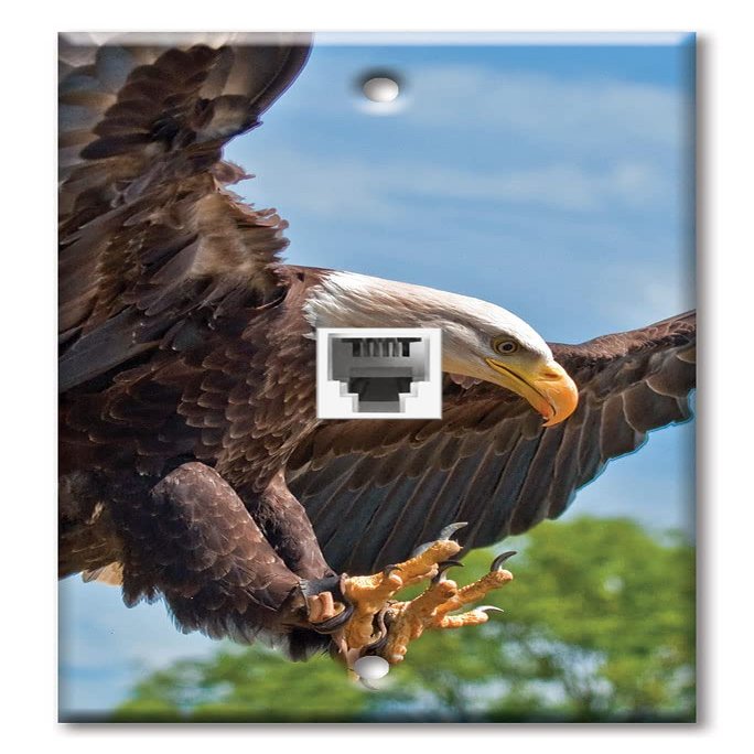 Art Plates - One Port RJ11 - Telephone decorative printed keystone style wall plate. CAT3 - RJ12 Female to Female phone jack. Works for phones, fax, ect. - Attacking Eagle