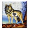 Art Plates - One Port RJ11 - Telephone decorative printed keystone style wall plate. CAT3 - RJ12 Female to Female phone jack. Works for phones, fax, ect. - Timber Wolf view 1