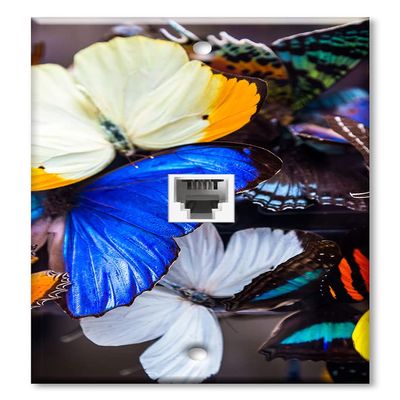 Art Plates - One Port RJ11 - Telephone decorative printed keystone style wall plate. CAT3 - RJ12 Female to Female phone jack. Works for phones, fax, ect. - Colorful Butterflies