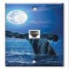 Art Plates - One Port RJ11 - Telephone decorative printed keystone style wall plate. CAT3 - RJ12 Female to Female phone jack. Works for phones, fax, ect. - Whale Tail 2 view 1