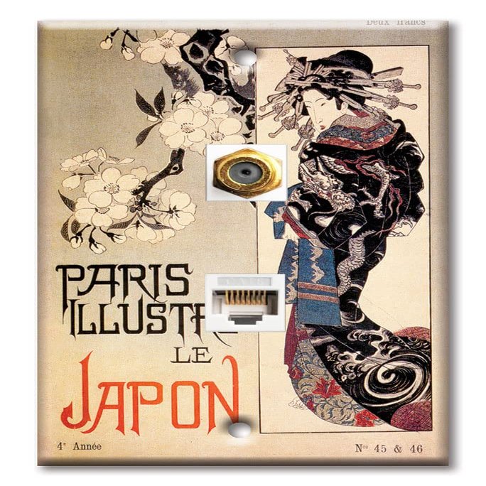 Art Plates - Decorative Printed 2 Port Data Wall Plate, RJ11 Telephone Jack Connector with RJ45 (Cat5, Cat6, Cat7) Ethernet Connector, Gold-Plated - Paris Illustre