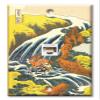 Art Plates - One Port RJ45 Ethernet decorative printed keystone style wall plate. Works with Cat5 through Cat8 cables. Female to Female Connection. - Hokusai: In the Horse view 1