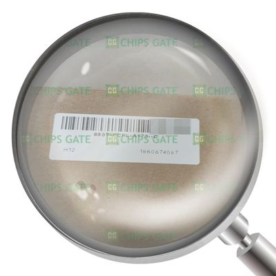1Pcs New 8907-CCFL-A173