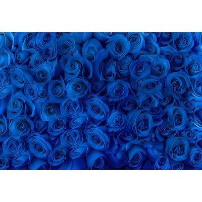 Baocicco 15x10ft Blue Rose Backdrop Rose Wall Mysterious Flower Floral Charming Women Photography Background Wedding Birthday Mother's Day Valentine's Day Decoration Princess Queen Photographer