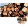 Speaker Stands,One Bookshelf 5cm Thick Solid Wood, Bottom Embedded Alloy 8mm Nut, with Pure Copper Feet and Spacers view 4