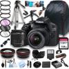 Canon EOS 2000D (Rebel T7) DSLR Camera w/EF-S 18-55mm F/3.5-5.6 Zoom Lens + 128GB Memory + Case+ Steady Grip Pod + Tripod + Filters + Remote + Lenses + Software + More (42pc Bundle) (Renewed) view 1