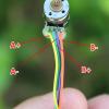 GTPBAO Power Science A Pair Small 8mm Stepper Motor Electric 2-Phase 4-Wire Step Motor, Micro Mini Stepper Motor with Precision Copper Gear and Connecting Wire Engine Projects view 3