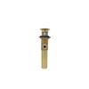 Strom Living Lavatory Pop-Up Drain with Solid Brass and 1.25" Tube Drain in Supercoat Brass view 3