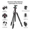 Bundle: SmallRig 71" Camera Tripod with Tripod Fluid Head Pan Tilt Head view 3