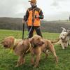 Garmin Alpha 300i (GPS Only) GPS Dog Tracking System Bundle - Multidog Tracking GPS & Remote Training Device - Includes Garmin Field Bag view 4