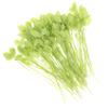 Mobestech 100pcs Leaf-shaped Nylon Cable Ties Zip Ties for Gardening Home Office Use for Easy view 1