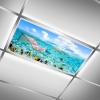 Styubn Office Fluorescent Light Cover 4 Pack Tropical Underwater World Film Insert for Ceiling Light Reducing Glare Harsh Flicker4 x 2 Feet(47.2in X 23.6in) view 1