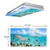 Styubn Office Fluorescent Light Cover 4 Pack Tropical Underwater World Film Insert for Ceiling Light Reducing Glare Harsh Flicker4 x 2 Feet(47.2in X 23.6in) view 3