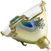 Genuine Original OEM P-VIP 300/1.3 P22.5 Projector Lamp Bulb Without Housing for Osram Bare Bulb ONLY, 69509 Bulb view 1