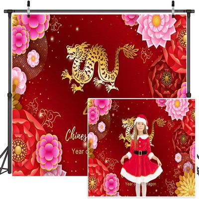 12x8ft Chinese New Year Decoration Backdrop,Year of The Dragon 2024 Decorations Banner Happy New Year Photography Background Lunar New Year Backdrop New Year Party Adults YouTube Photo Props