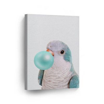 BATHROOM DECOR WALL ART,ORANGE WALL DECOR,BABY WALL ART,Portrait of Monk Parakeet Quaker Parrot Bird Teal Blue Bubble Gum Canvas Wall Art Pet Bird Animal Kids Baby Nursery Room Decor,12''x18''Framed Modern Canvas Wall Art