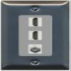 Coax 2 HDMI Wall Plate-1 Gang Stainless/Gray view 1