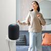 Coyktonty Speaker Stand Holder for Homepod 2/Homepod Wall Mounted Transparent Show Stand Acrylic Display Shelf Support Cradle Bracket (Transparent) view 2
