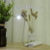 Gavigain Computer Lamp,Mini Flexible LED USB Night Lamp Reading Light,USB Night Light for Computer Laptop Notebook PC view 4