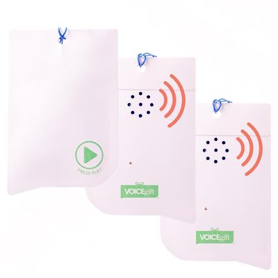 VOICEGIFT 60-Second Audio Recorders for Gift, Back to School Voice Recordable GiftTags for Teachers & Students | Seashell | 3 Pack