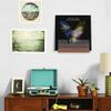 Ammonite Light up Now Spinning Vinyl Record Stand view 4