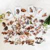 100 PCS Jungle Animal Stickers Safari Zoo Animal Wild One Stickers for Laptop Water Bottle Computer Refrigerator Luggage Phone Case Bicycle Teens (Jungle Animal) view 3