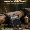 Emgykit R11 Portable Shortwave Radio - 4000mAh/14800mWh NOAA/SW/AM/FM, Solar/Hand Crank/USB Charging, Bluetooth Receiver/USB/TF Playback,with Compass,Flashlight,SOS for Camping & Emergencies - Grey view 3
