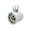 Diamond Audio POD65F4W 6.5" 150W RMS / 300W Max 2 Way Speaker Tower POD - White (POD65F4W) view 2