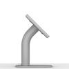 VidaMount Light Grey Enclosure and Portable Fixed Stand Version 2 [Bundle] Compatible with iPad mini 1/2/3 view 4