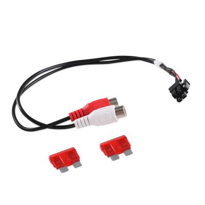 XYgdhqpt 1560-57865-01 Signal Input Harness Compatible with Punch P300-10 and Punch P300-12 Amplified Subwoofer Enclosures