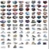 100 Pack Wolf Stickers (Large Size), Graphic Decal Sticker for Laptop, Phone, Car, Water Bottle, Stickers for Wolf Lovers view 2